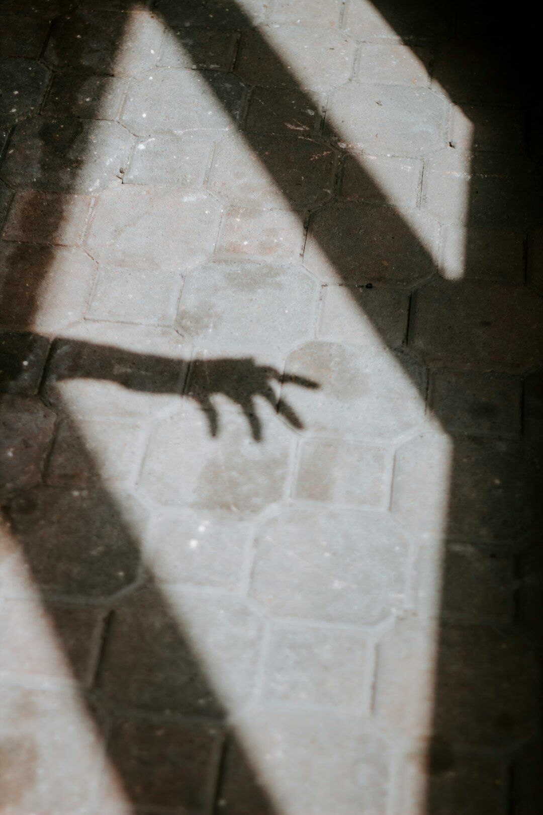 secret meeting in shadows